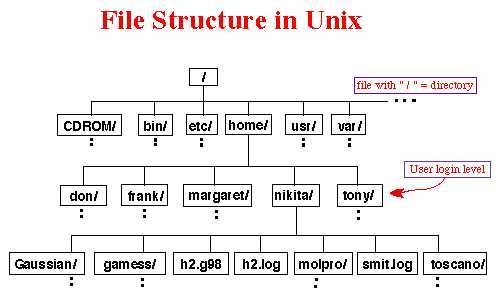 file.tree.jpg